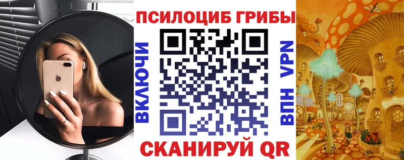 купить наркотики сайты  Златоуст  Галлюциногенные грибы Psilocybe 