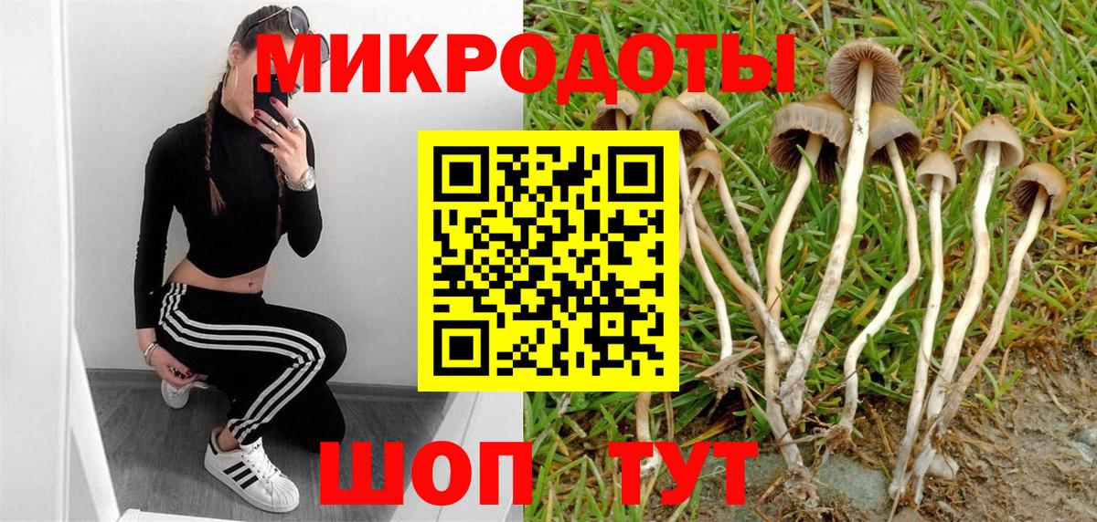 Златоуст  Галлюциногенные грибы Psilocybe  Вход с VPN 