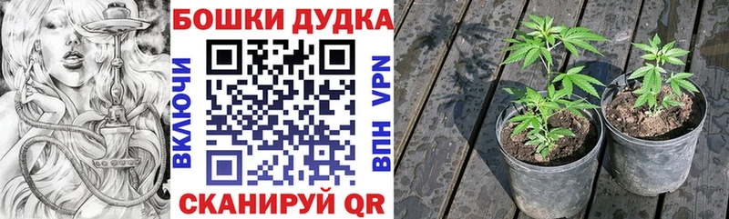 ссылка на мегу tor  Златоуст  Шишки марихуана гибрид 